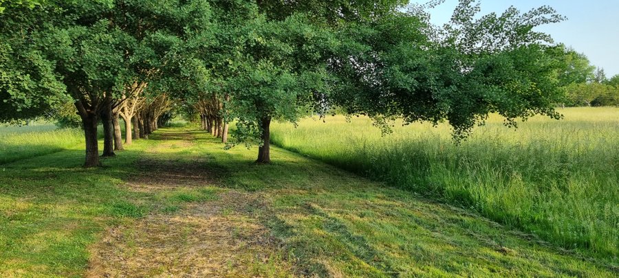 Domaine AbracadaRoom : Gite La Petite Clavelie - Image 10