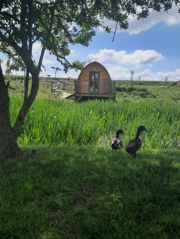 Hébergement AbracadaRoom : La Cabane de l'étang & Balnéo - Image 1