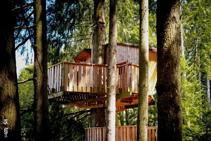 Domaine AbracadaRoom : Village des cabanes perchées du Lac des Sapins - Image 3