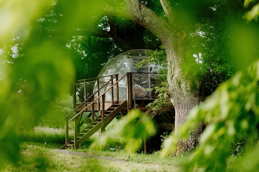 Hébergement AbracadaRoom : Dôme au cœur des chênes & SPA - Image 2