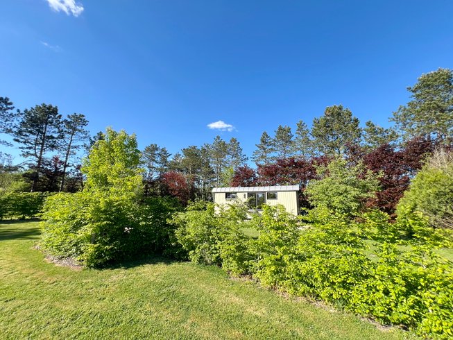 Domaine AbracadaRoom : Pine Tree tiny cottage - Image 16