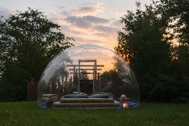Bulle transparente - Royaume des arômes à Parmilieu (4)