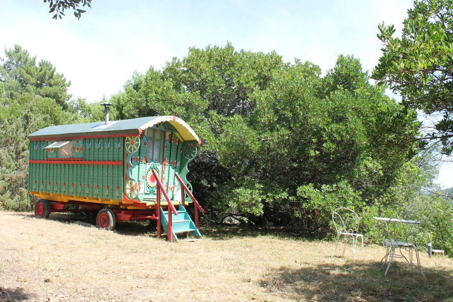 Hébergement AbracadaRoom : La Roulotte Verte - Image 2