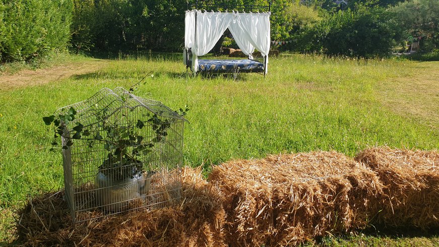 Hébergement AbracadaRoom : Le Lotus & Spa - Image 11