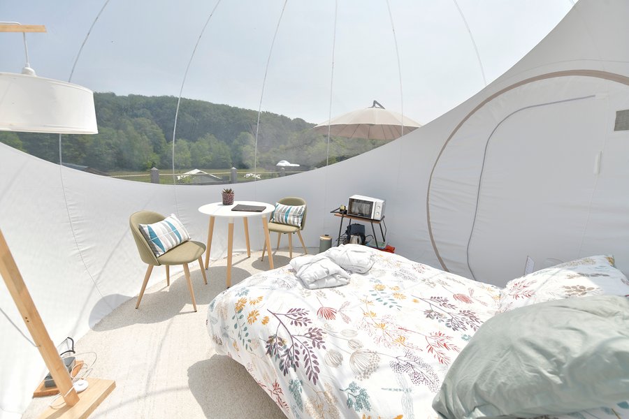 Hébergement AbracadaRoom : Bulle Ecureuil - Image 1