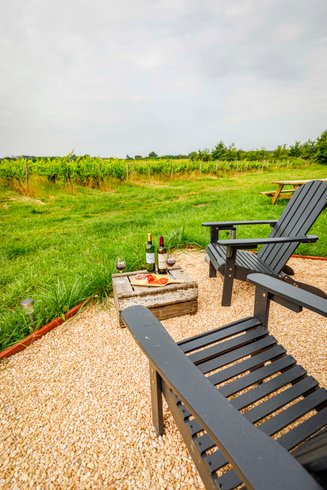 Hébergement AbracadaRoom : Tiny House La Vendange proche de Saint Emilion - Image 13