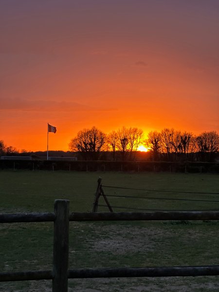 Domaine AbracadaRoom : Les roulottes des amis de Wonky - Image 16