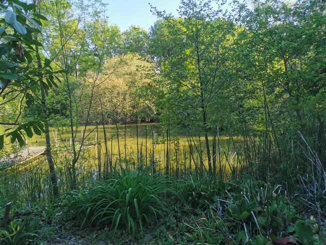 Domaine AbracadaRoom : La Noé verte - Image 5