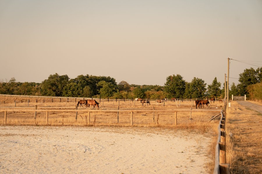 Domaine AbracadaRoom : Homnest (Espinasse) - Image 15