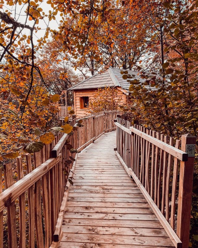 Cabane Spa Ecureuil à Bonlieu (17)
