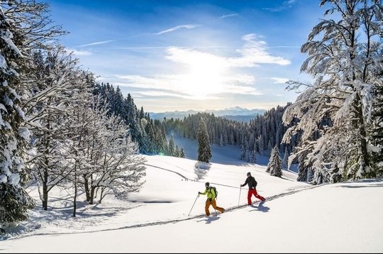 Domaine AbracadaRoom : Les Logettes de Caroline - Image 19