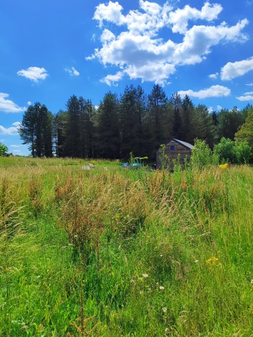 Hébergement AbracadaRoom : Cabane du Cerf  & Bain nordique - Image 2