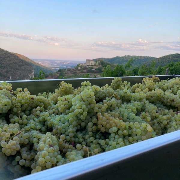 Hébergement AbracadaRoom : Belvédère du Haut Bugey - Refuge dans les cépages - Image 35