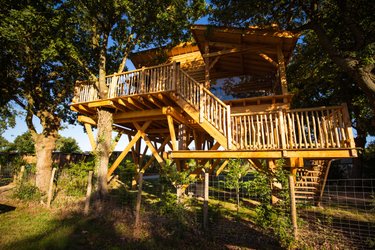 Cabane Spa dans les arbres - 6 personnes à La Guyonniere (1)