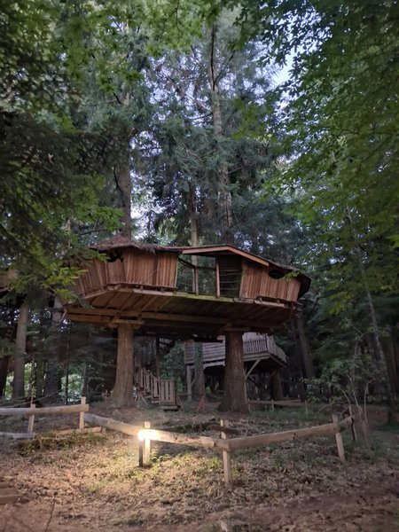 Hébergement AbracadaRoom : Cabane Castor - Image 1