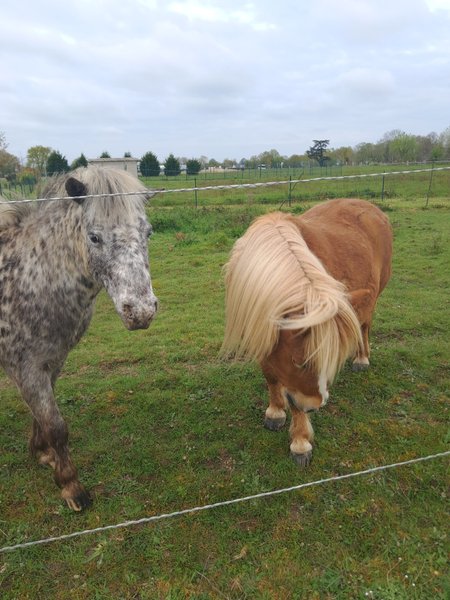 Hébergement AbracadaRoom : La Poète "La Muse" & Spa privatif - Image 13