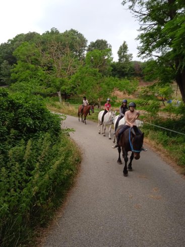 Domaine AbracadaRoom : Cabanes Trésors de Campagne - Image 18