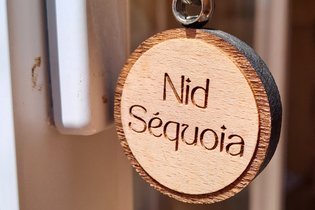 Cabane végétalisée Corrèze