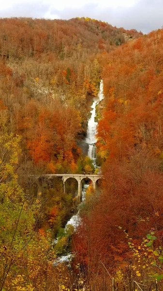Hébergement AbracadaRoom : Les Logettes de Caroline, Ecolodge & Bain Nordique - Image 17