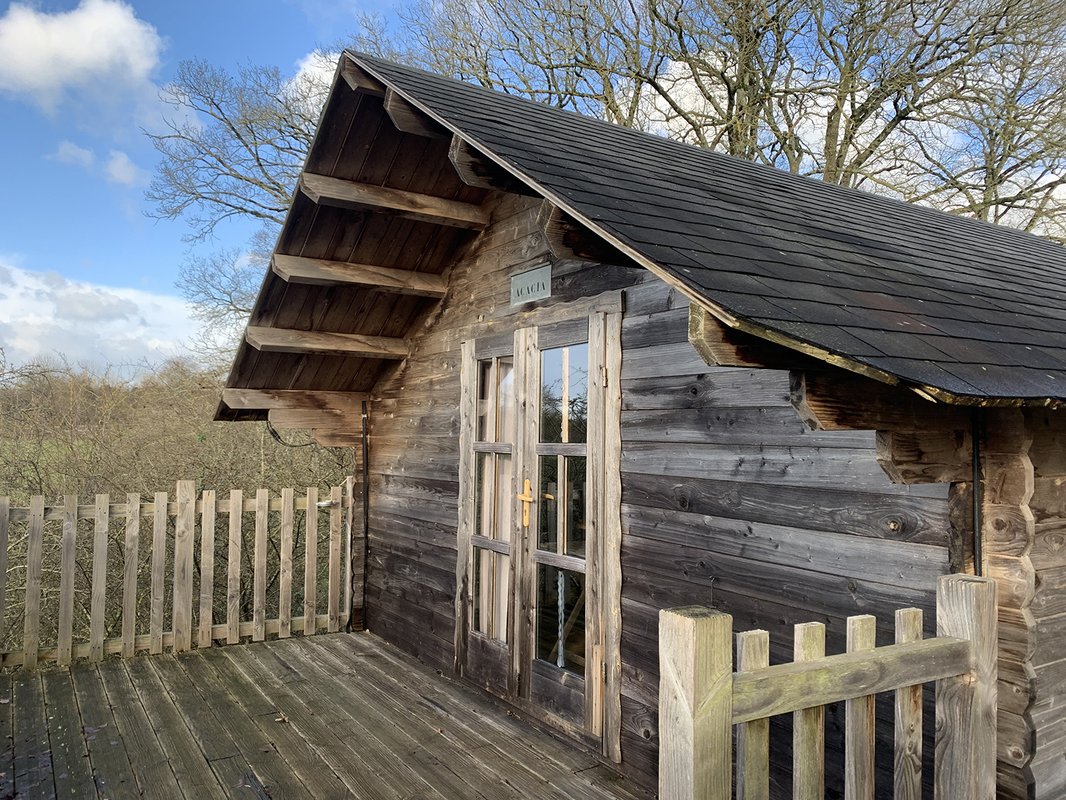 Cabane Perchée Acacia à Louverné (3)