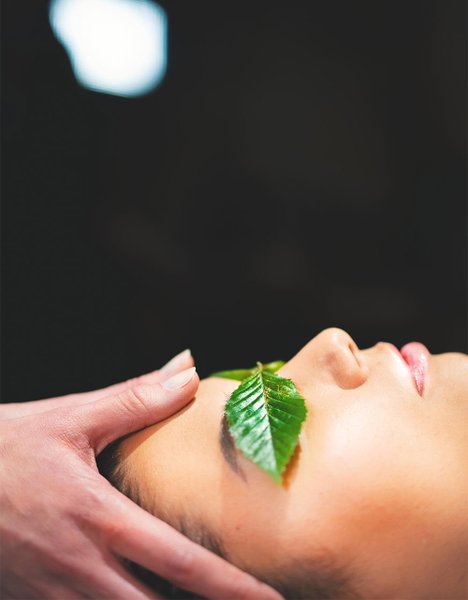 Domaine AbracadaRoom : Loire Valley Lodges - Hôtel - Image 37