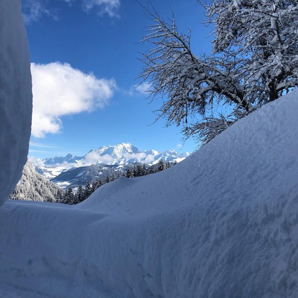 Hébergement AbracadaRoom : Cabane Feuille & Spa - Image 15