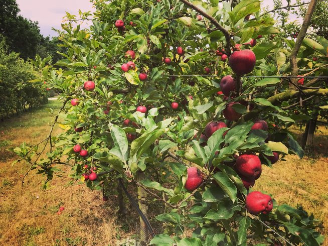 Domaine AbracadaRoom : Domaine de Lann Hallat - Image 5