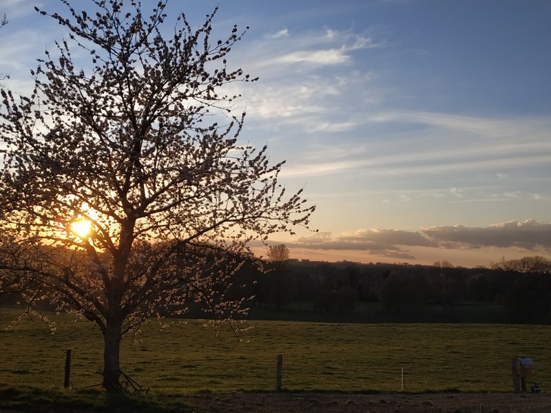 Domaine AbracadaRoom : Le domaine de la Clauzade - Image 9