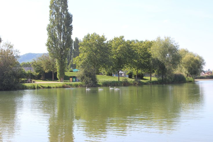 Domaine AbracadaRoom : Seasonova Camping Vesoul - Image 15