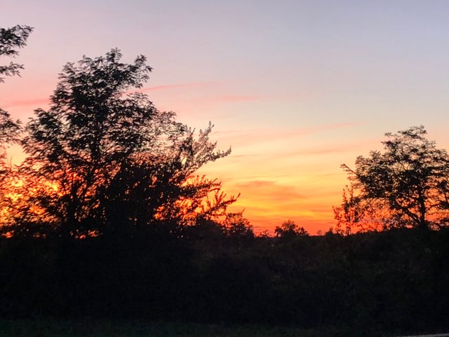 Hébergement AbracadaRoom : Bulle Mystique - Image 30