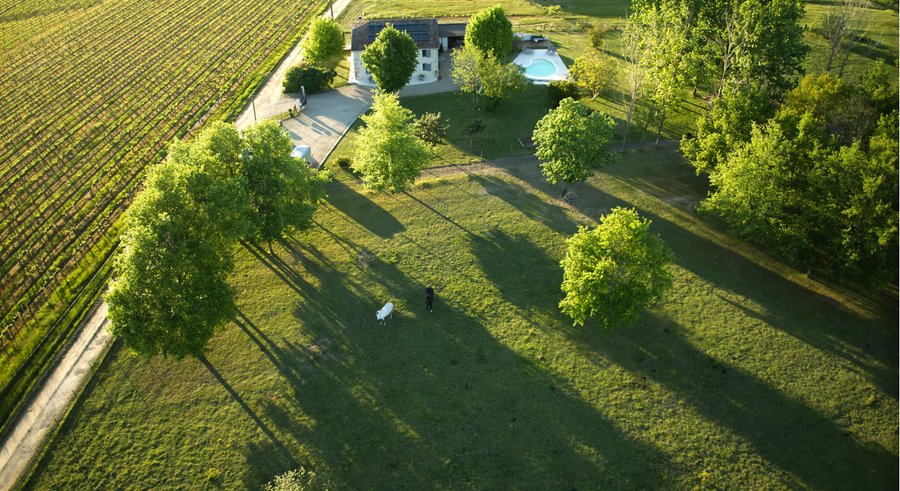 Domaine AbracadaRoom : Le nid du Coucou - Image 4