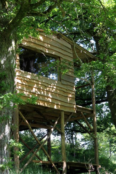 Hébergement AbracadaRoom : Chambre Nid 2 - Image 3