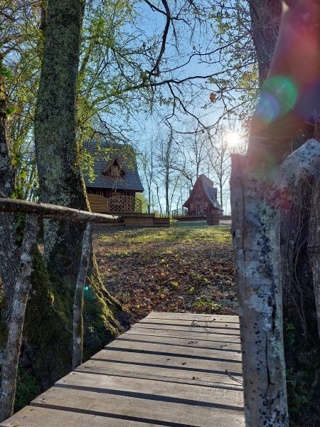 Domaine AbracadaRoom : Des Vignes et des Songes - Image 3