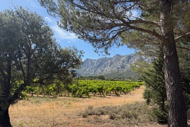 Vue panoramique  sur la Sainte-Victoire et bain nordique à Puyloubier (4)