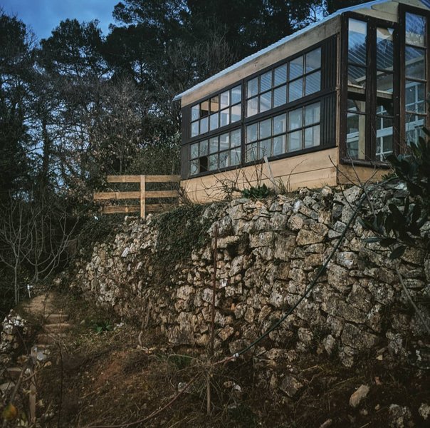 Domaine AbracadaRoom : La mauvaise herbe - Image 15