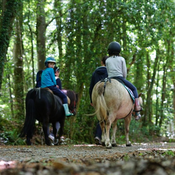 Hébergement AbracadaRoom : Cabane Dundee - Image 11