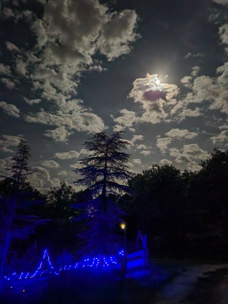 Hébergement AbracadaRoom : La Chaumière magique des Elfes et son escape game - Image 52