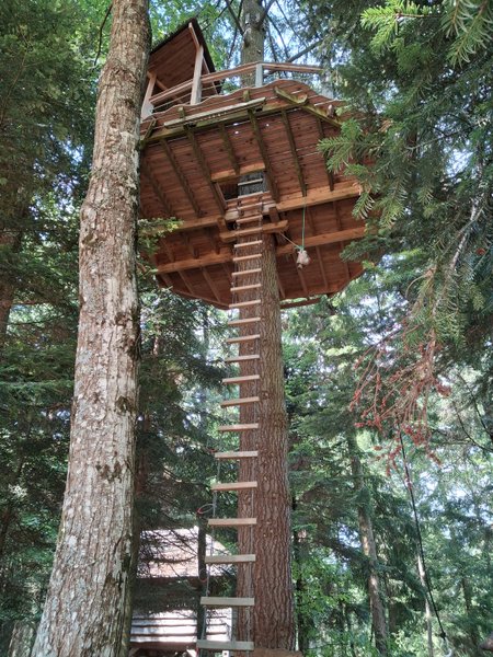 Hébergement AbracadaRoom : Cabane Ecureuil - Image 6