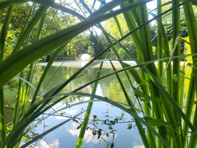 Domaine AbracadaRoom : Bulle DO - Image 8