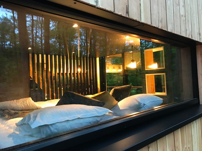 Hébergement AbracadaRoom : Forest cube Relax - Image 8