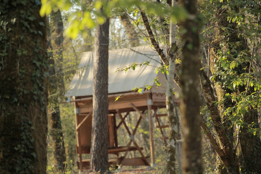 Hébergement AbracadaRoom : Tente Moonrise - Image 4