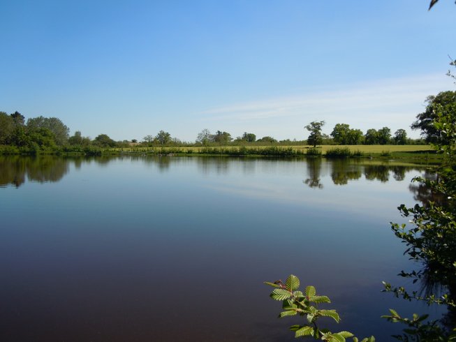 Domaine AbracadaRoom : La Bernardière - Image 3