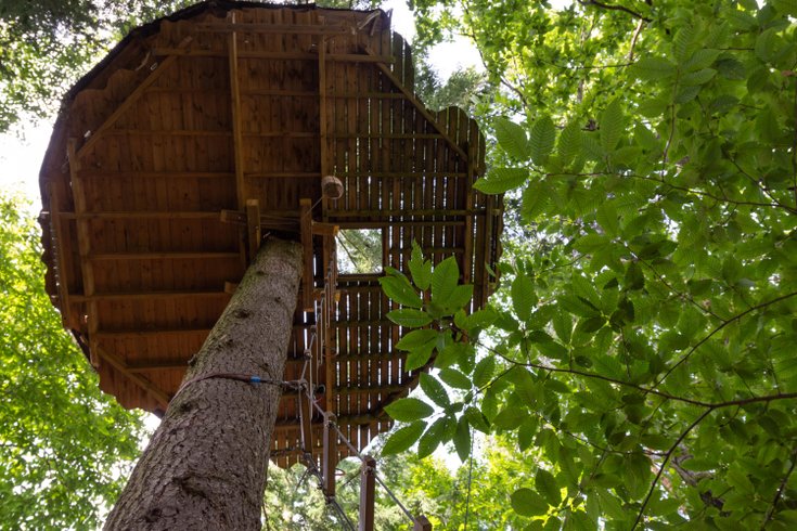 Hébergement AbracadaRoom : Cabane Ecureuil - Image 2