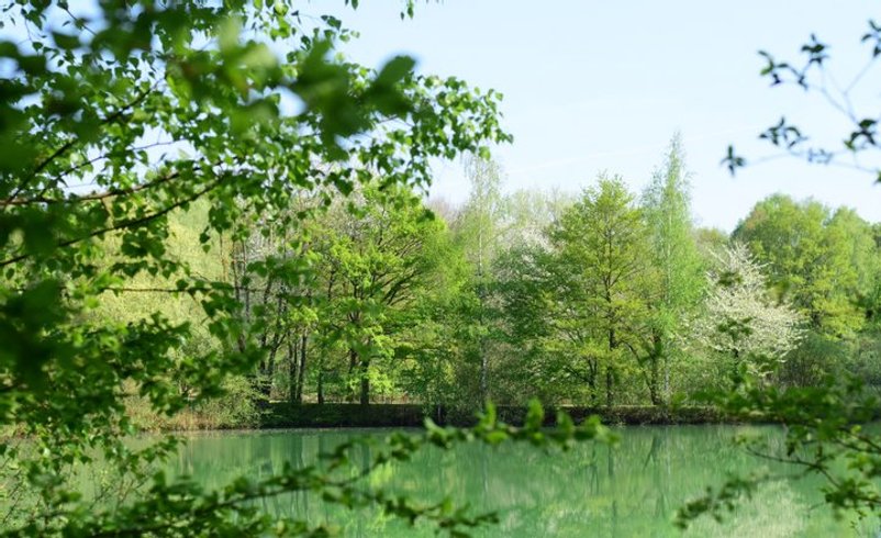 Domaine AbracadaRoom : Domaine des Reflets Bleus - Image 2