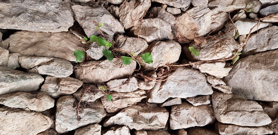 Hébergement AbracadaRoom : U Paliaghju - Image 9