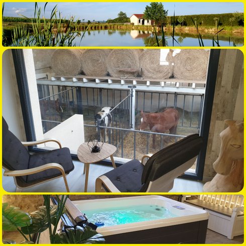 Hébergement AbracadaRoom : Chambre 5 vue panoramique  4 pers. - Image 5