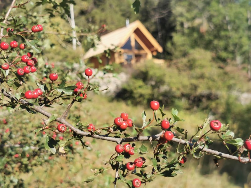 Domaine AbracadaRoom : Les cabanes du domaine de l'Esperluette - Image 5