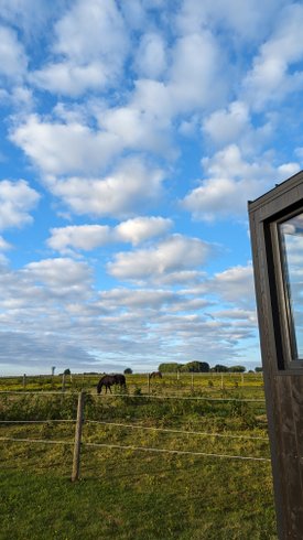 Hébergement AbracadaRoom : Tiny House La Cavalerie - Image 9