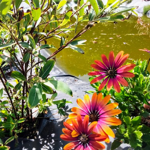 Hébergement AbracadaRoom : Lin pour l'autre & Spa - Image 14