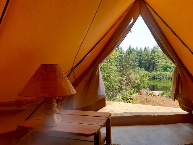 Domaine AbracadaRoom : Le bois des Nenuphars-Gite insolite - Image 3